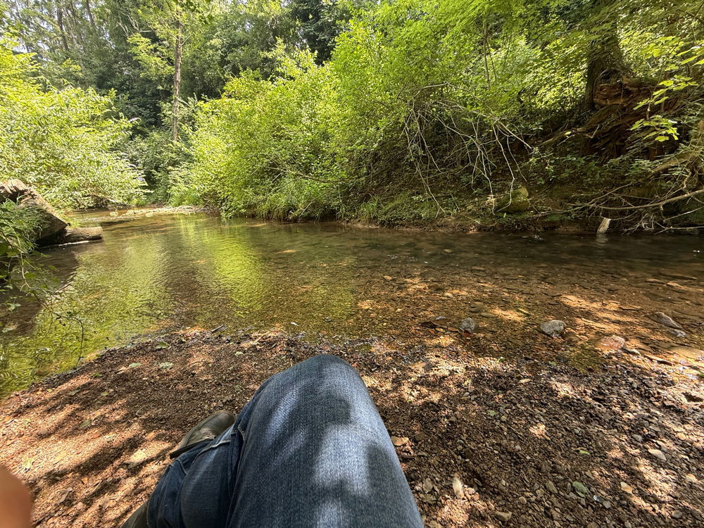 Passeggiata in pausa pranzo