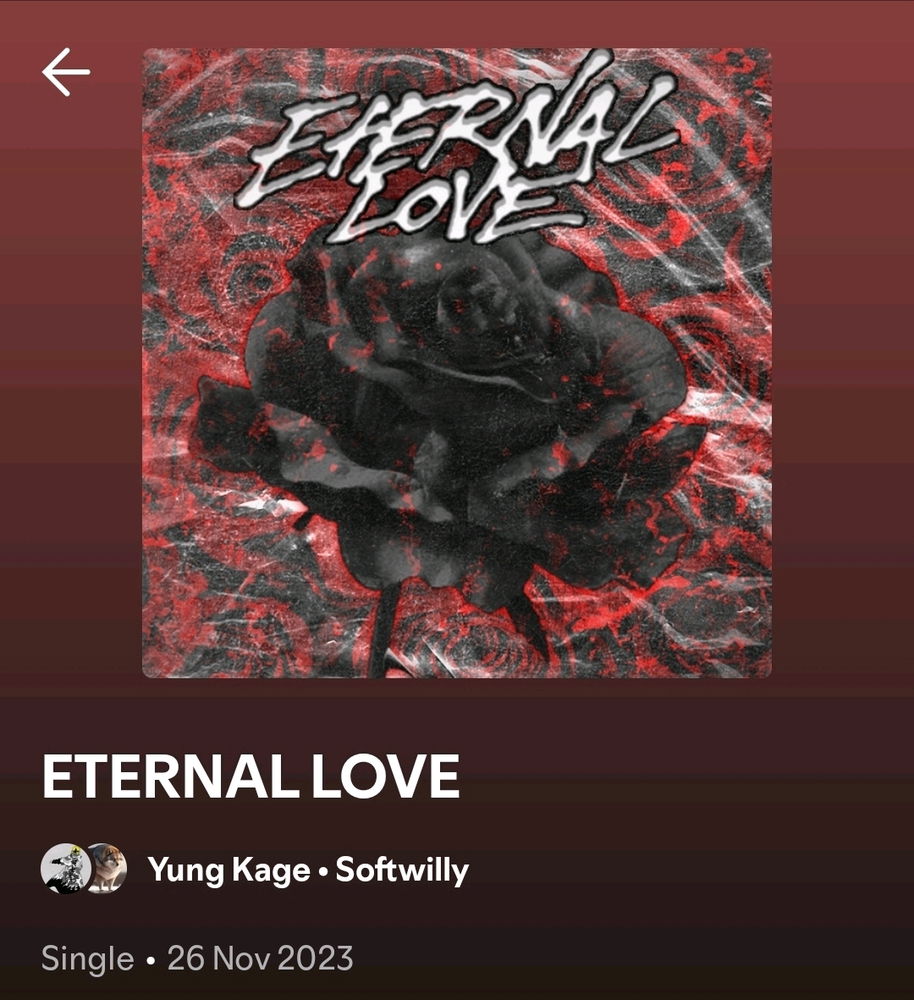 Any Group Chat or Softwilly fans??