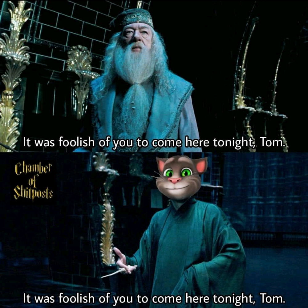 🤣🤭