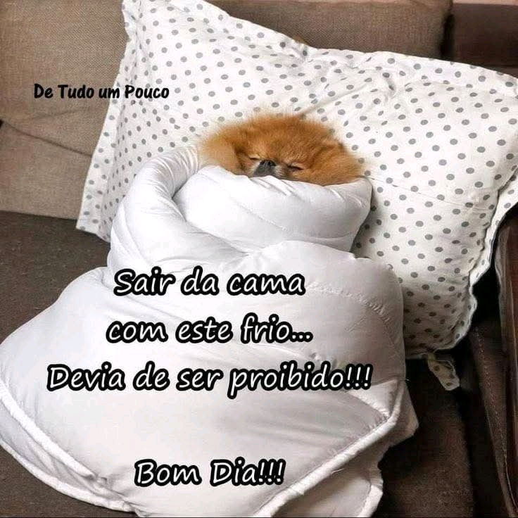 E em Curitiba.....
