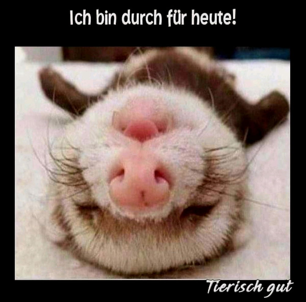😂 😅