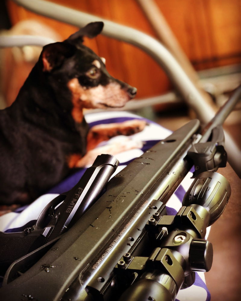 Hunter
