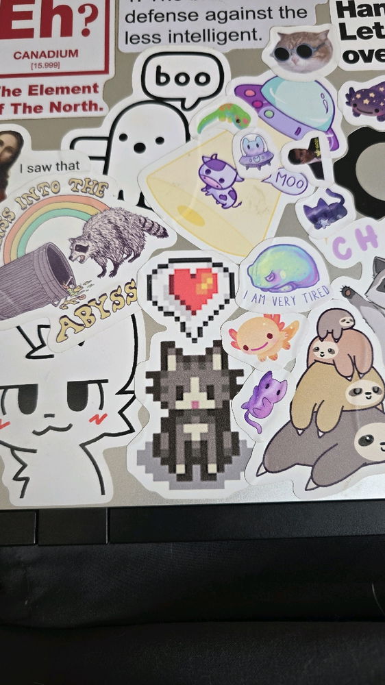 Sticker bombed my laptop, now I always have my little bezos with me
