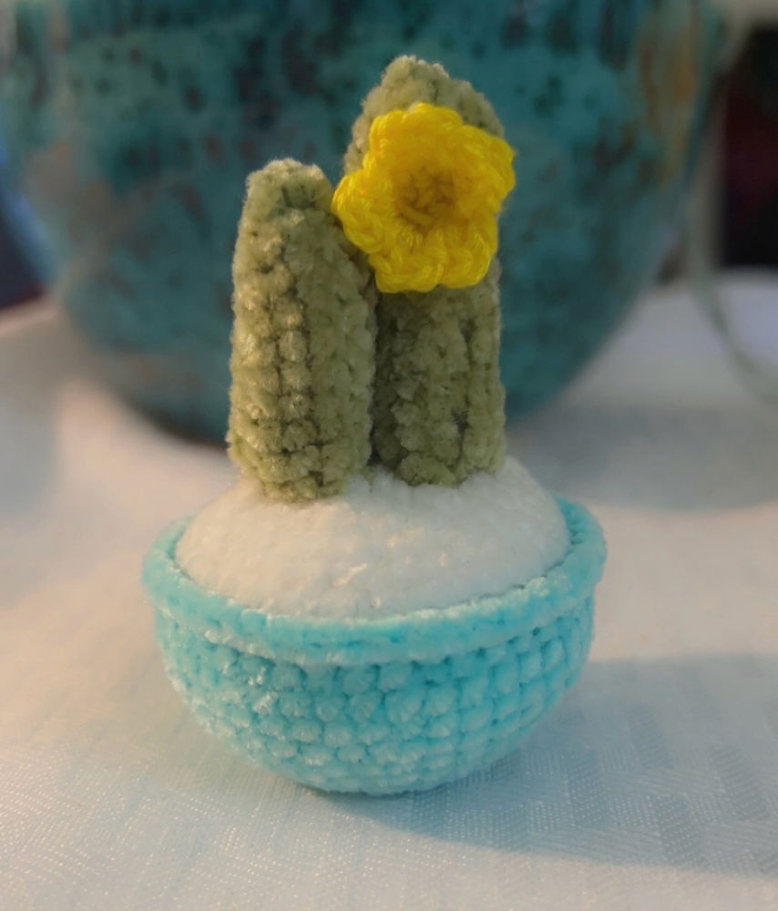 Smolll 🌵