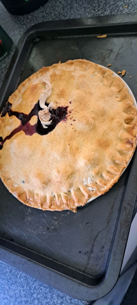 Made forest fruit pie