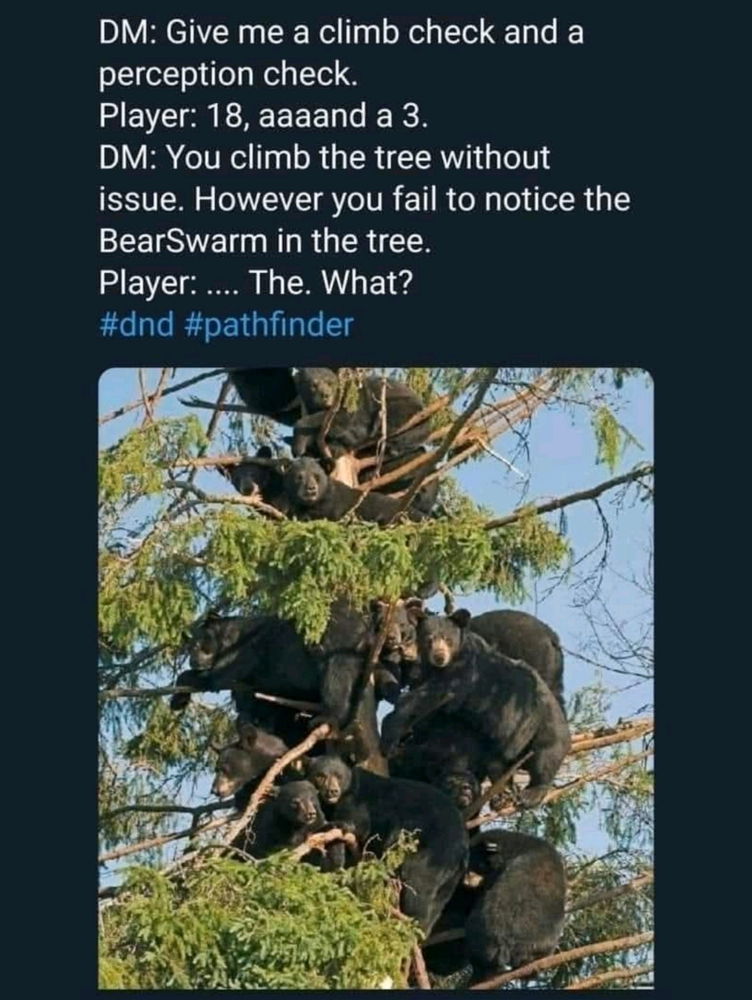 🐻🐻🐻