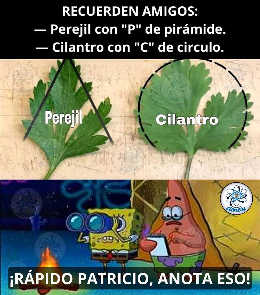 No se