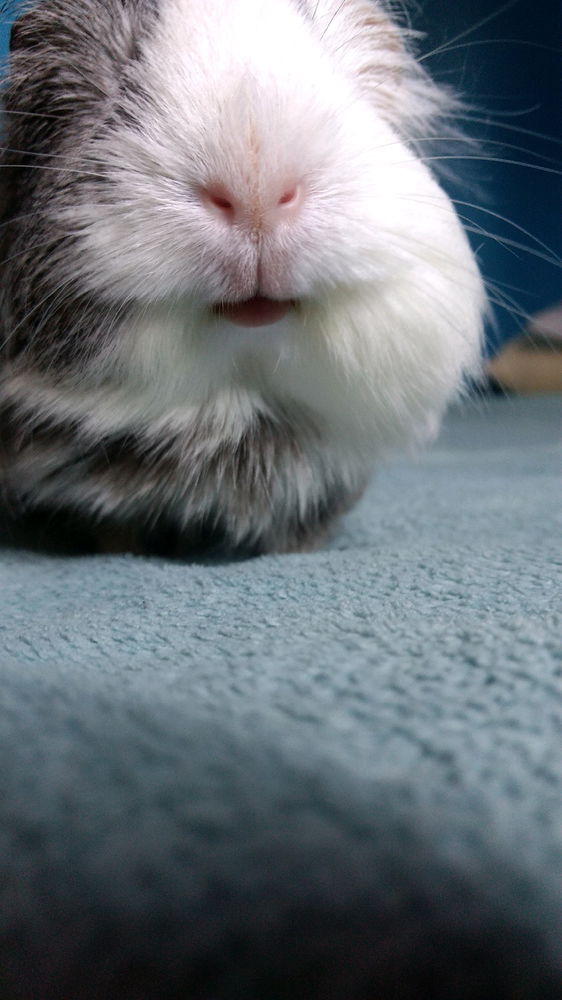 Juju 🖤