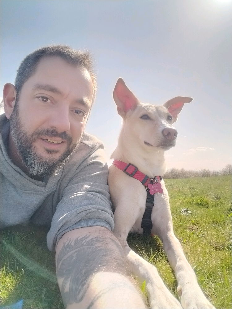 Une vie de chien