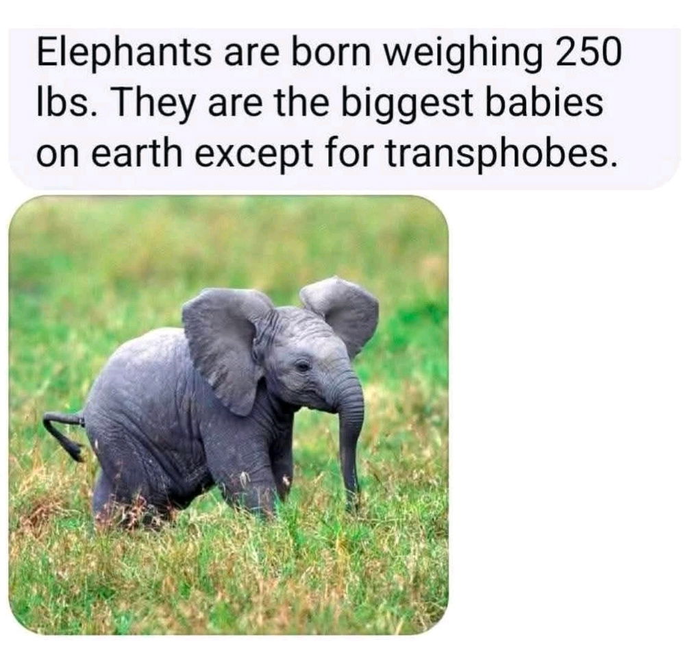 And homophobes