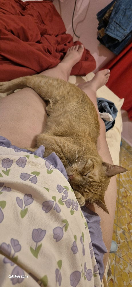 Mimir time