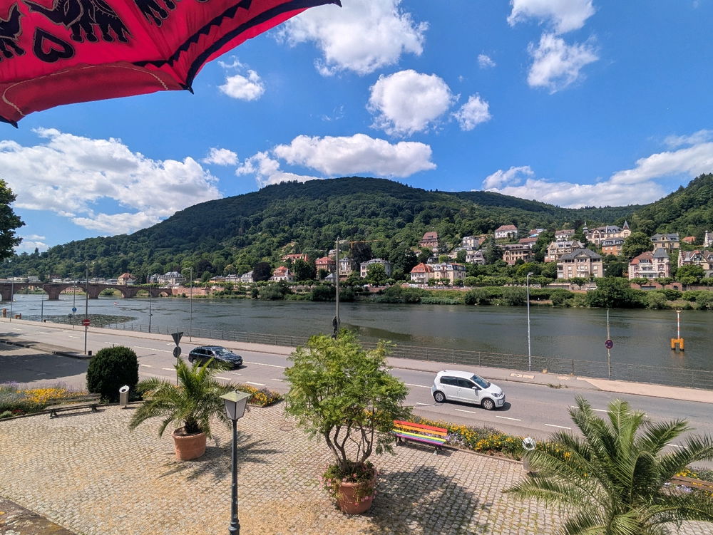 Japan Fest in Heidelberg 🇯🇵