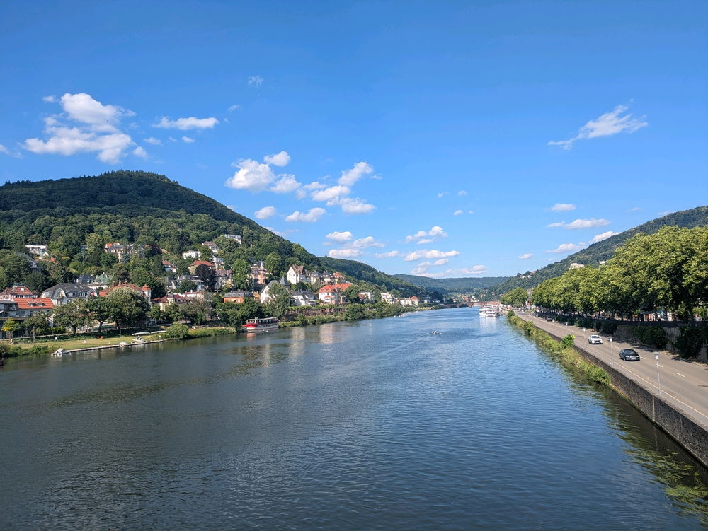 Japan Fest in Heidelberg 🇯🇵