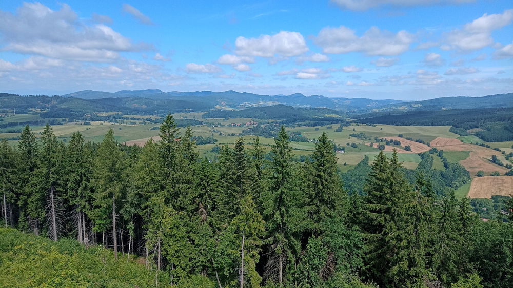 Włodzicka góra