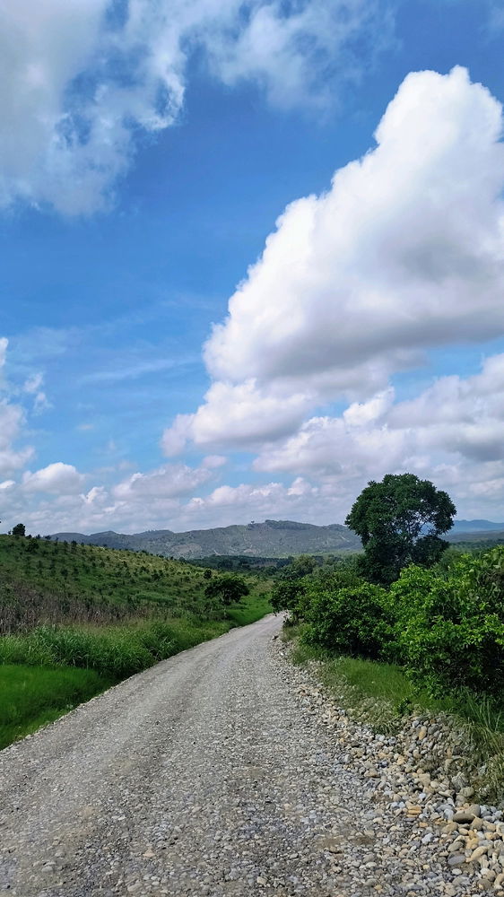 Viaje corto