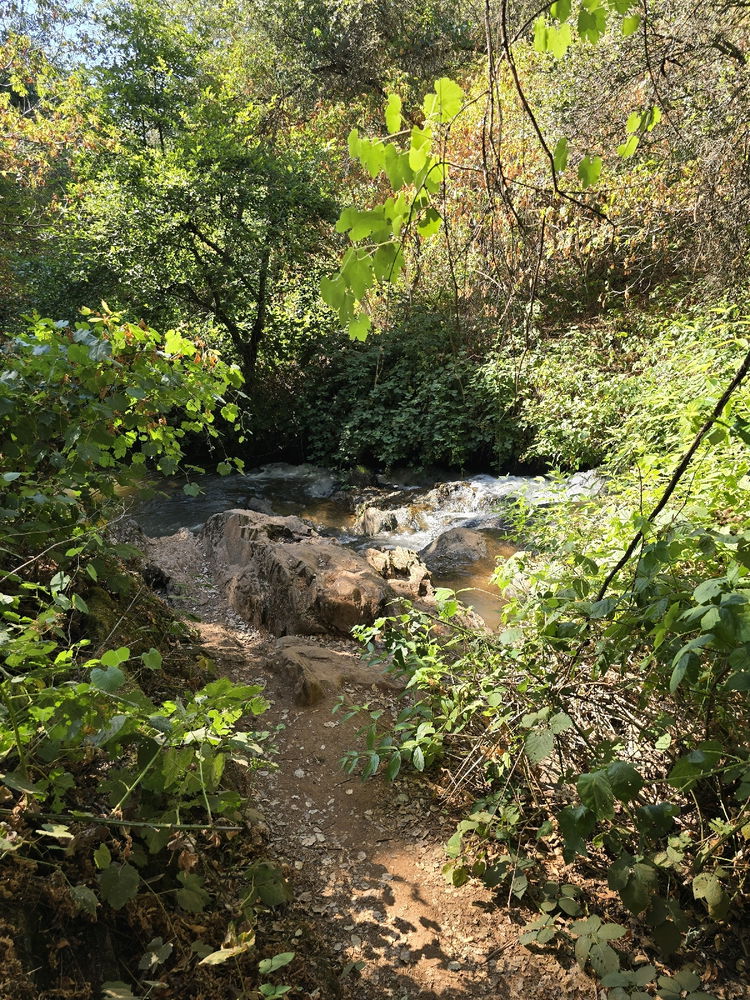 Hidden falls!!