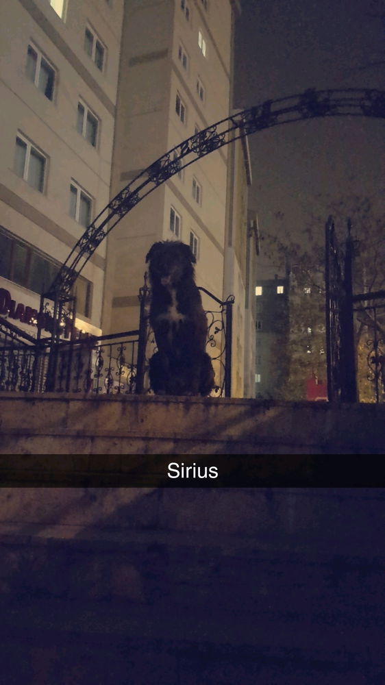 Sirius?