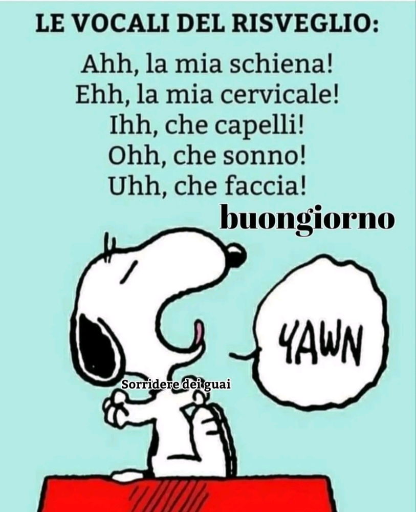Buongiorno 😅