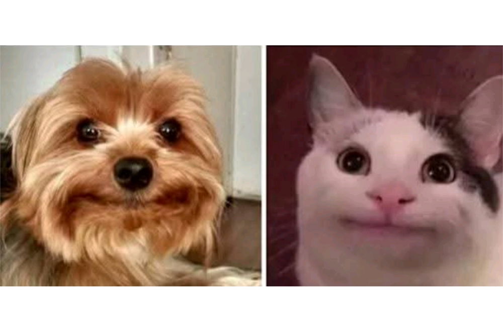 When you accidentally make eye contact with someone in public.