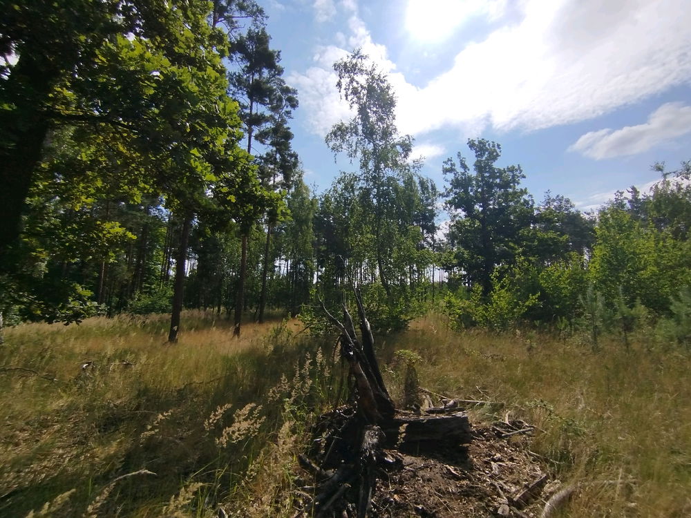 Hovada a lítací klíšťata by si někdo mohl odvézt 😖