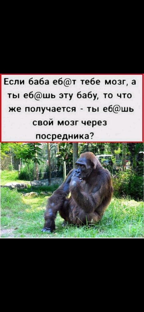 😁😁😁
