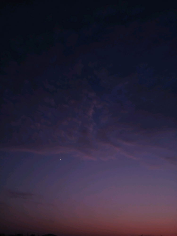 Fotografia de ontem
