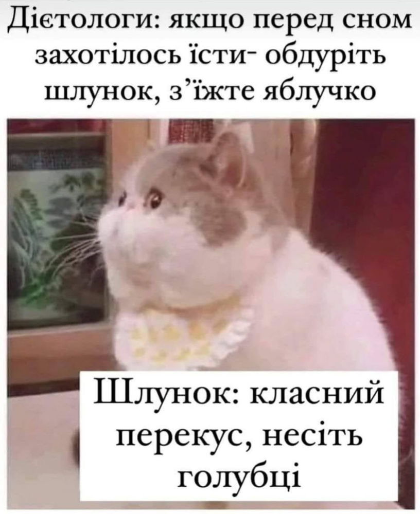 Шлунок не зможе?