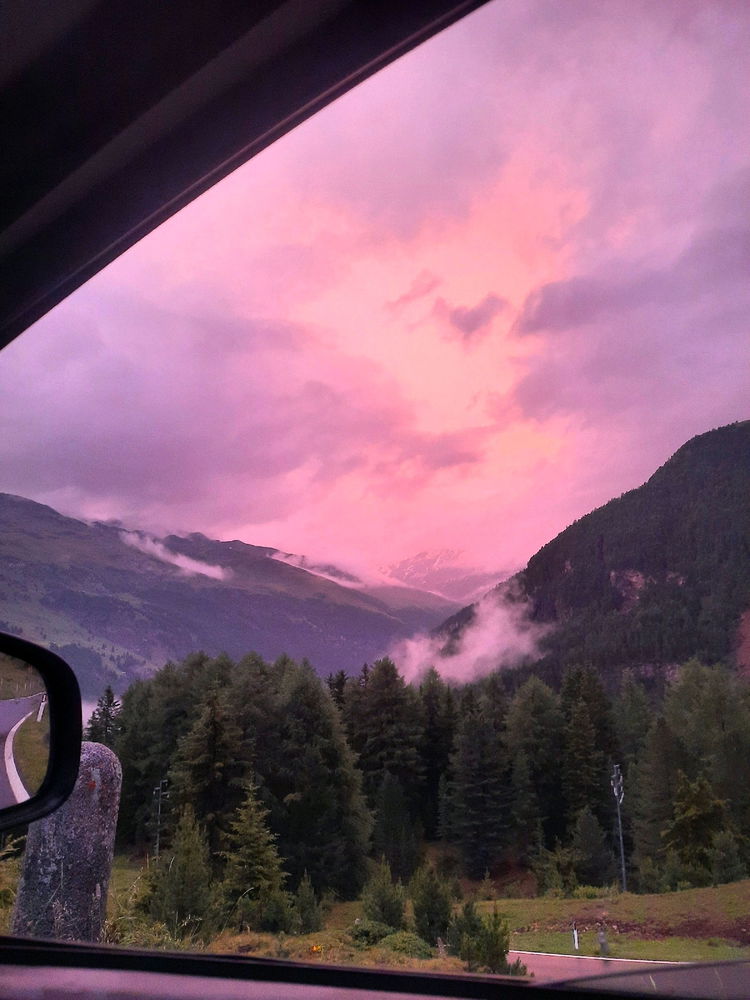 Valfurva in rosa