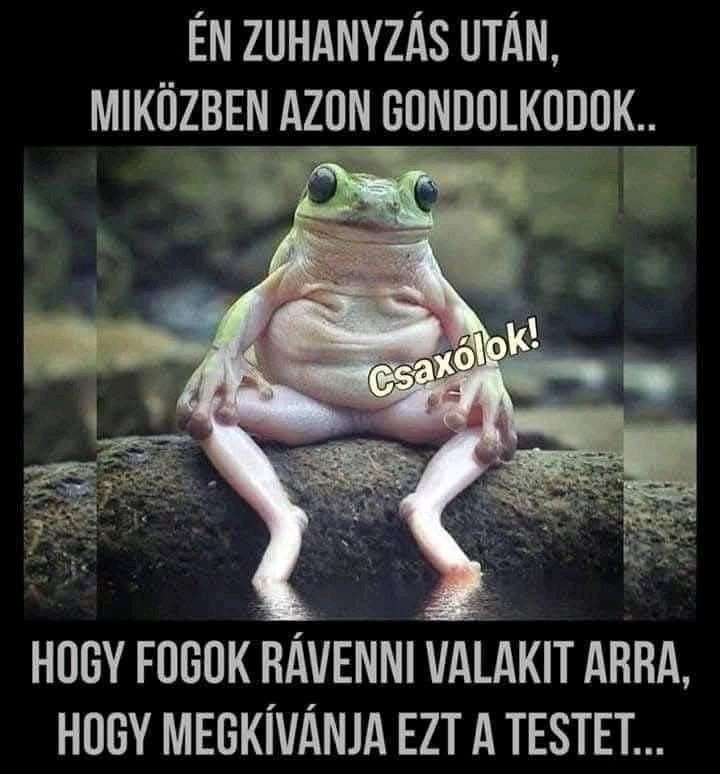 Az élet nagy kérdése 🤣🤣