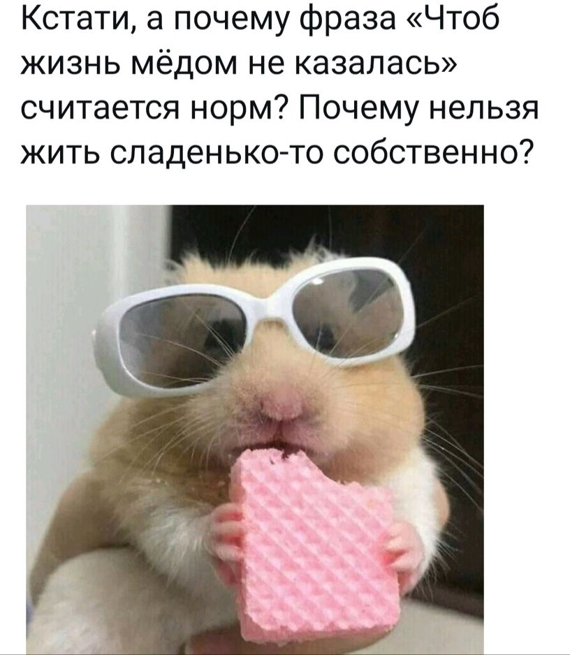 Действительно! 😌😎