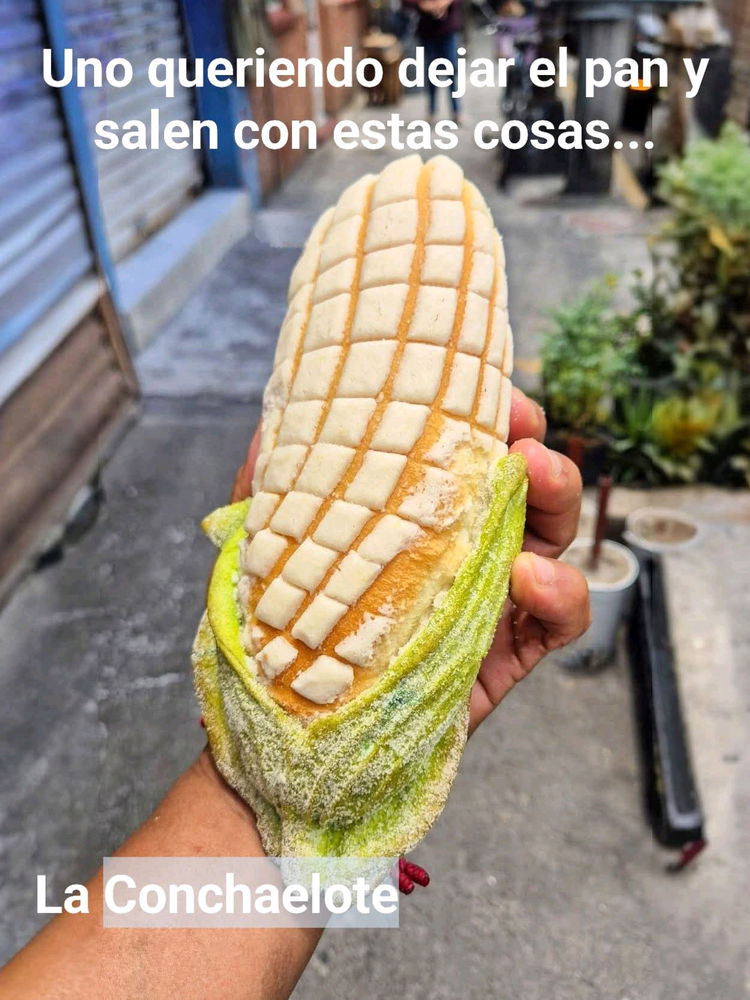Cuando eres fitness