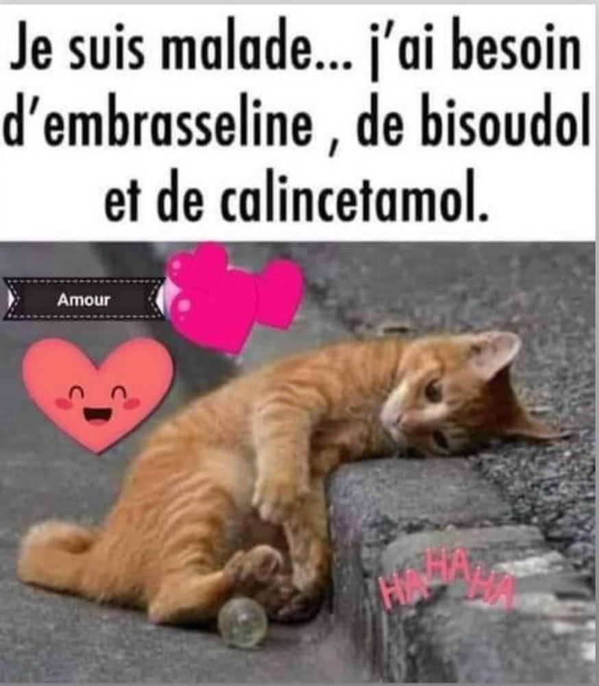 Ho que oui !!!