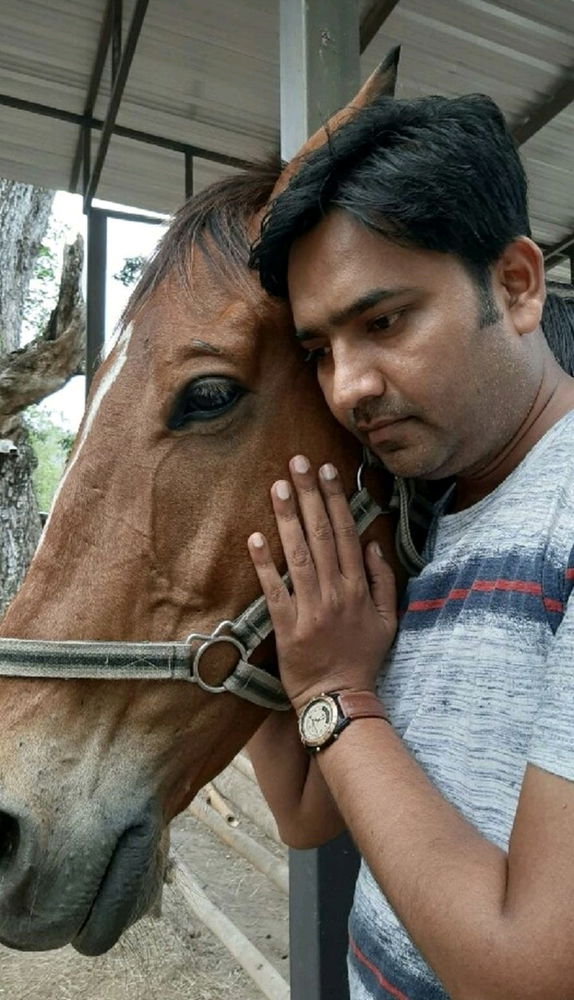 Animal_Male