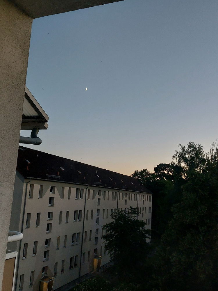 Blick aus dem Fenster