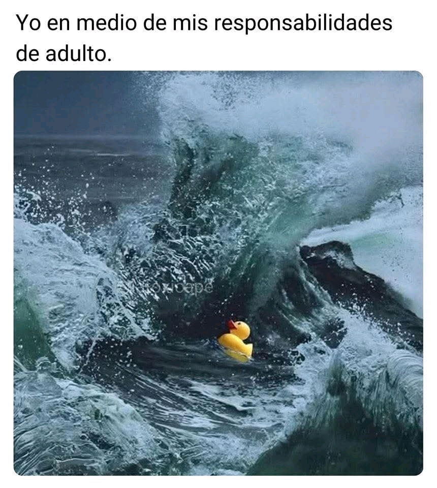 La vida adulta apesta