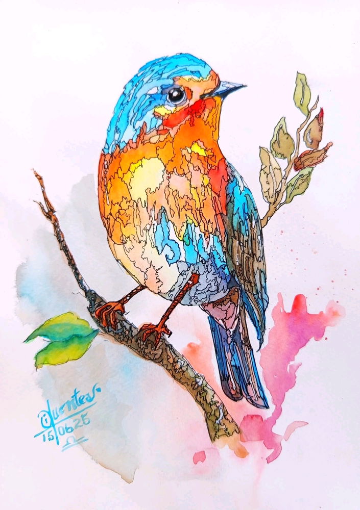 Beautiful 🎨