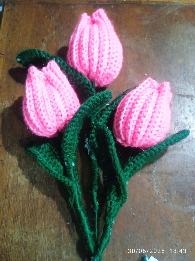 🌷🌷🌷