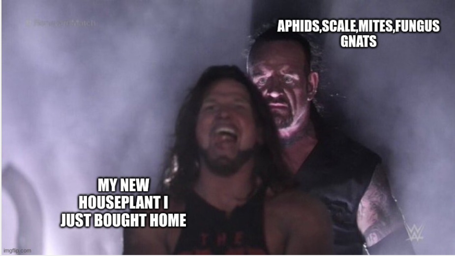 That's about right.