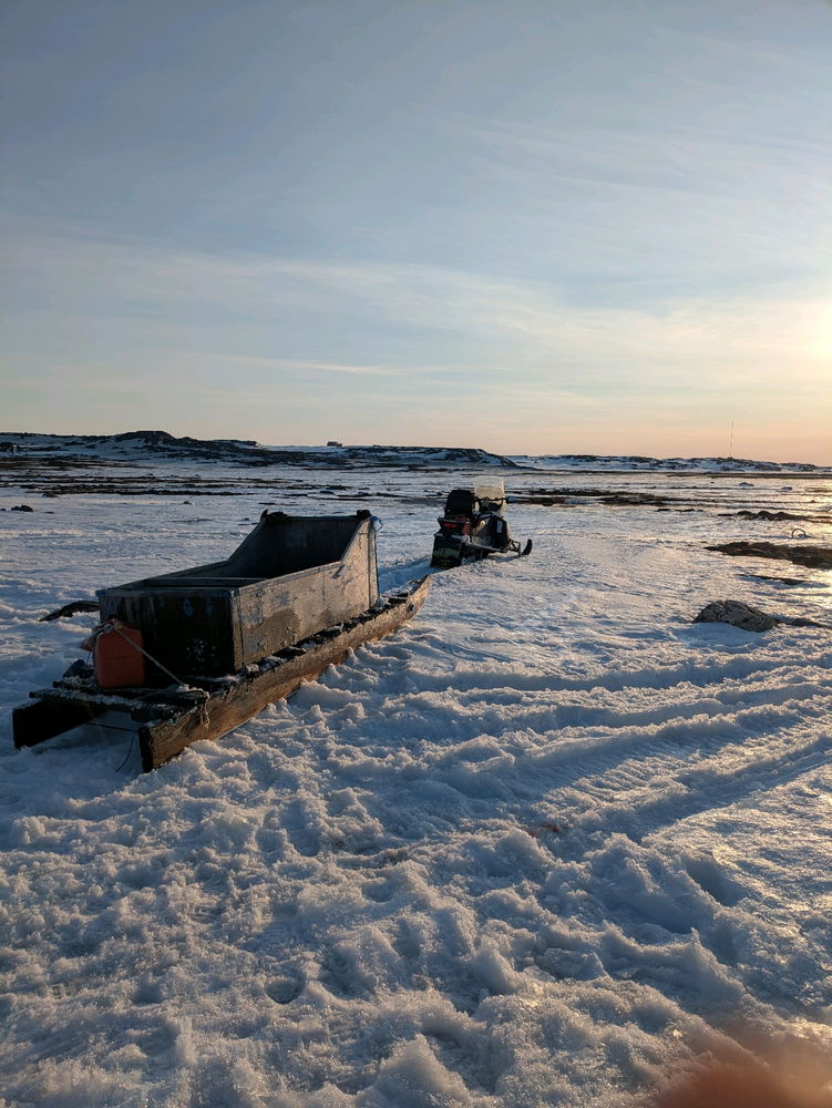 Sleds