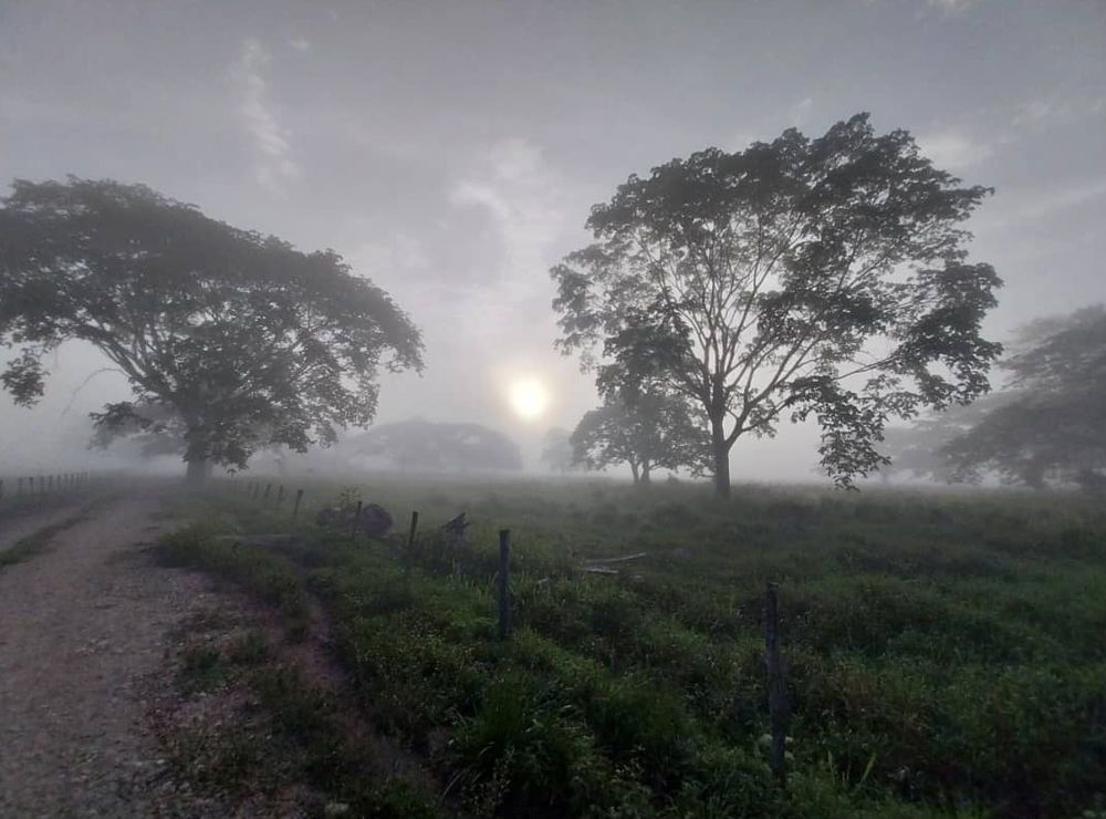 🌤️
