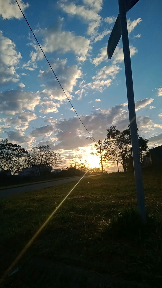 Minhas manhãs
