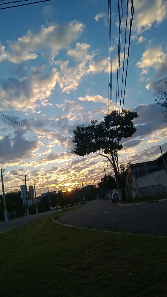 Minhas manhãs