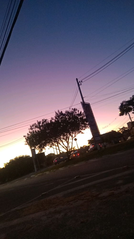 Minhas manhãs