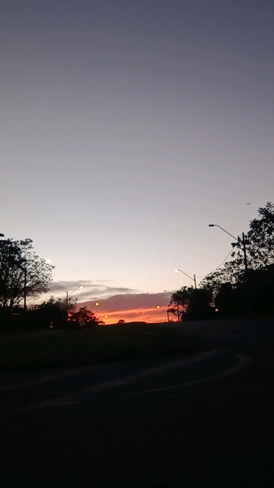 Minhas manhãs