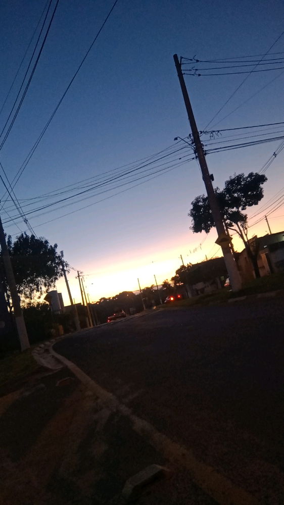 Minhas manhãs