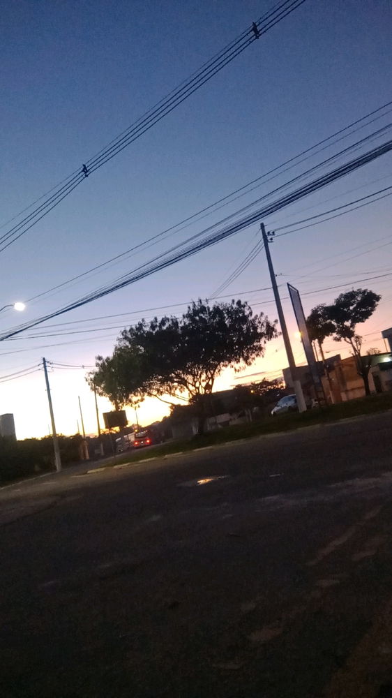 Minhas manhãs
