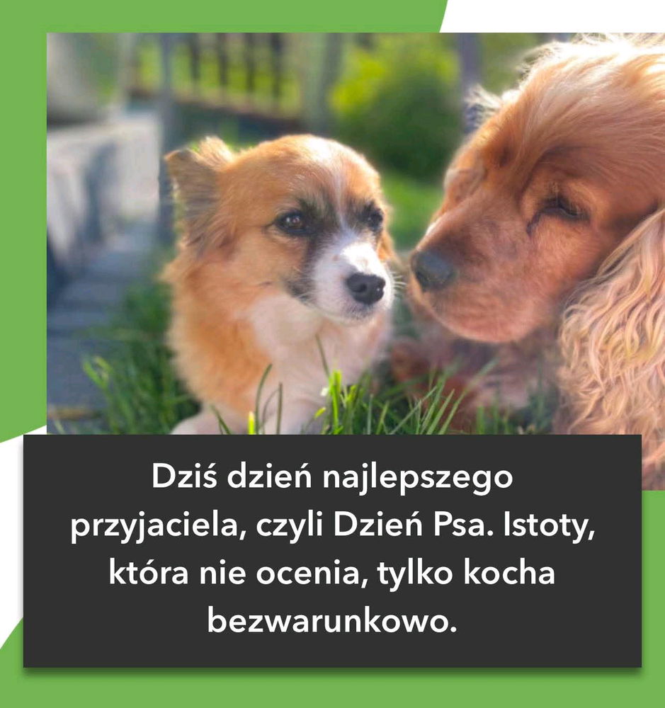 🐕