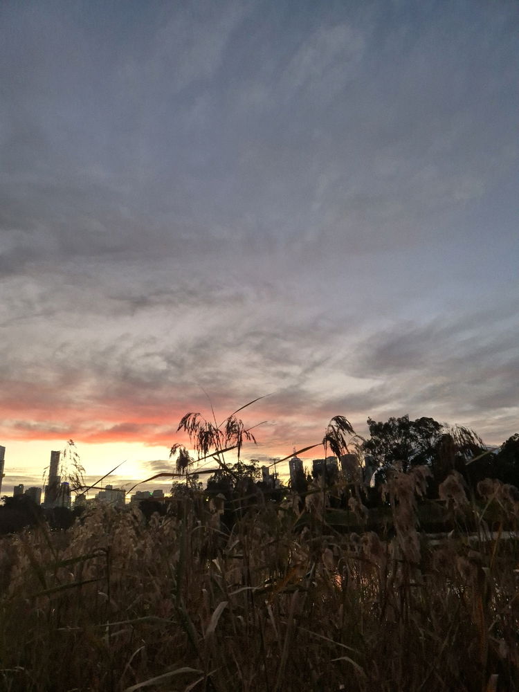 10k around the Yarra day 32