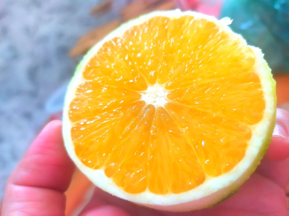 Que o mês de julho seja doce como essa laranja 🍊