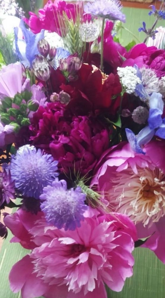 🌸🌺🌼
